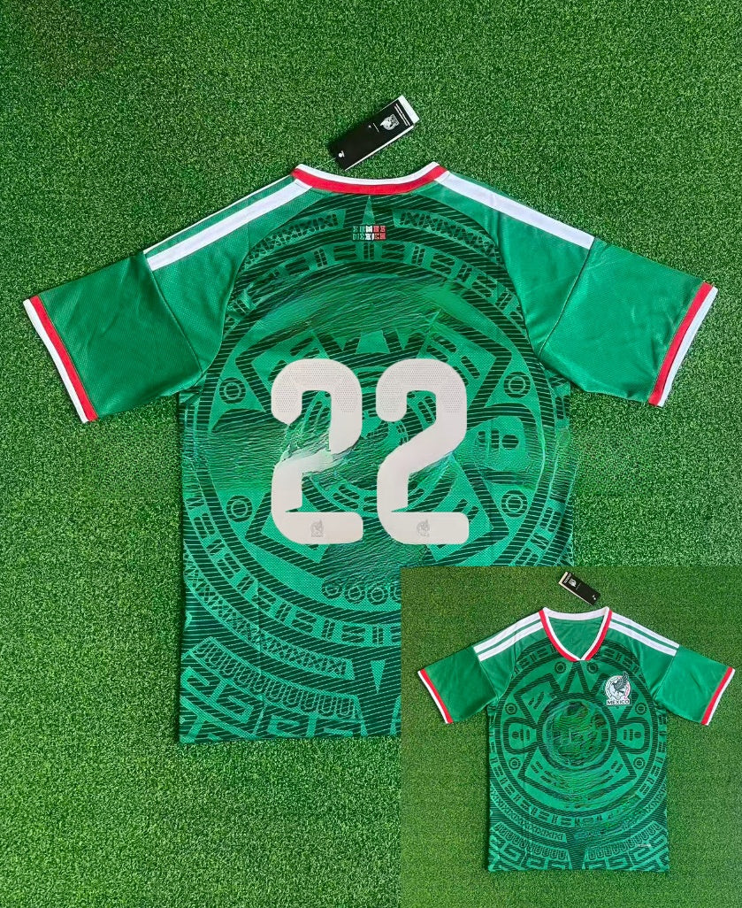 Player jersey WC 26